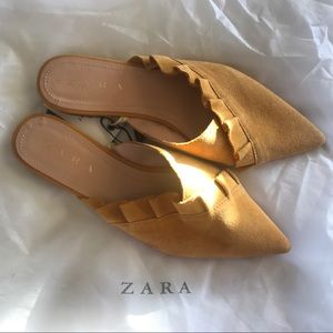 Zara Pointed Toe Flats
